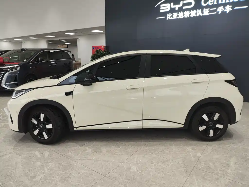 BYD Dolphin 2025