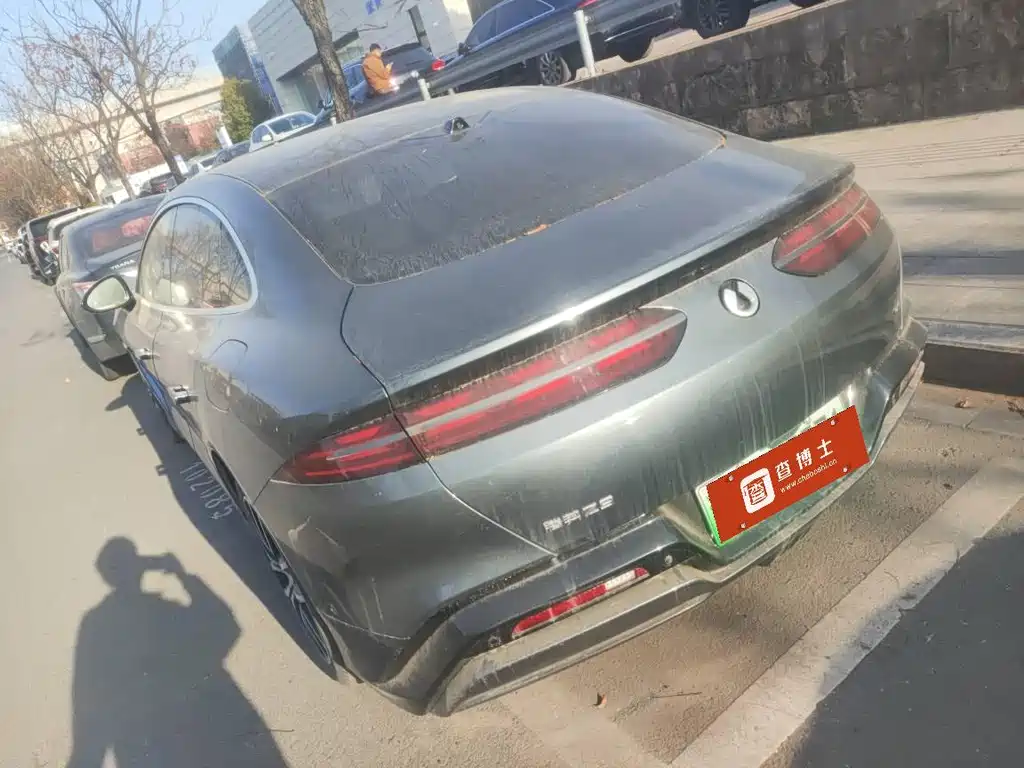 Denza Z9 2024