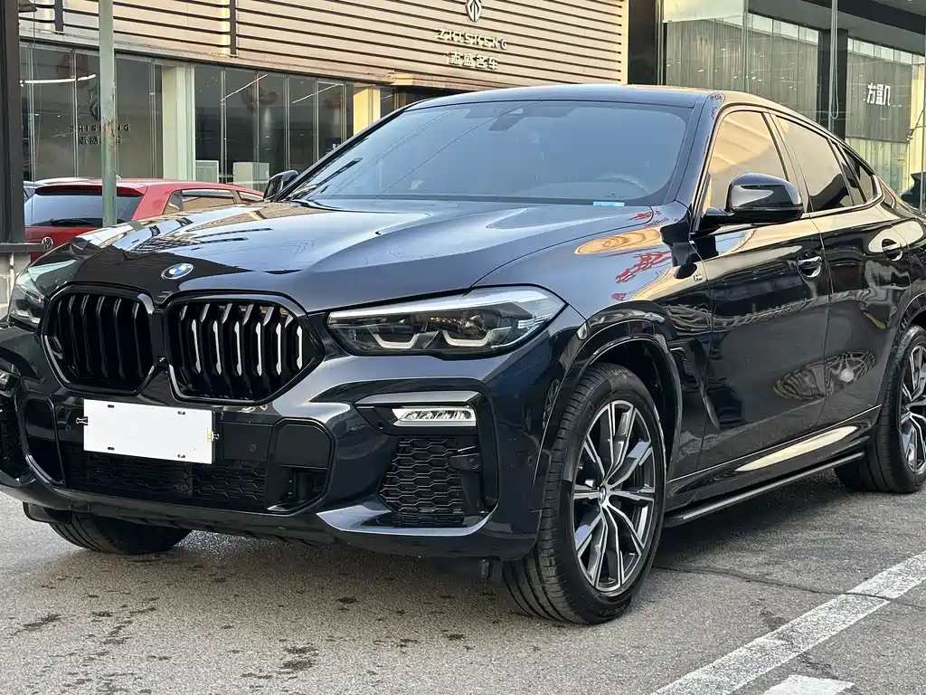 BMW X6 2021