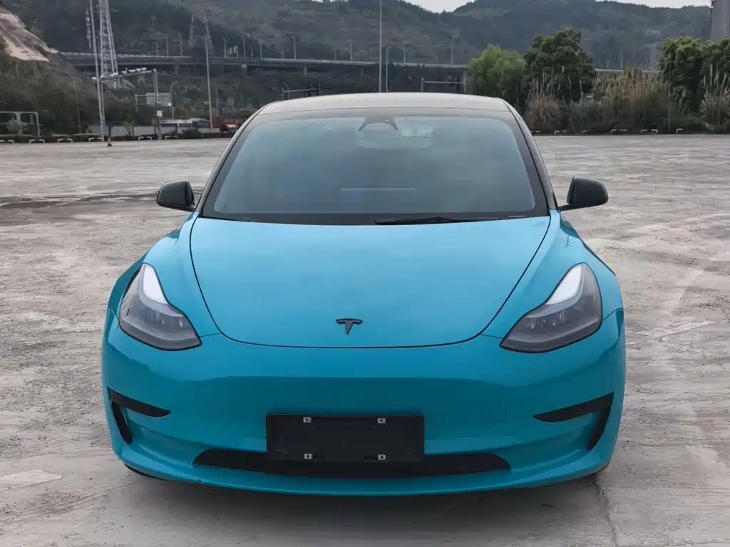 Tesla Model 3 2022