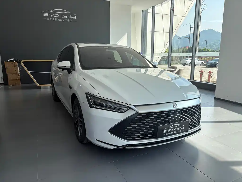 BYD Qin 2021