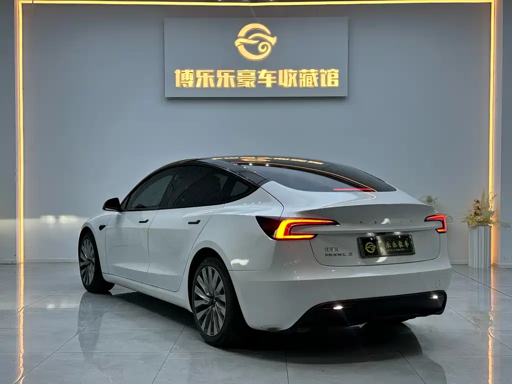 Tesla Model 3 2025