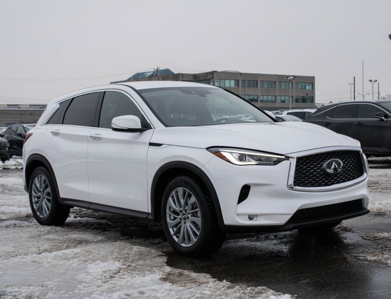 Infiniti QX50 2025