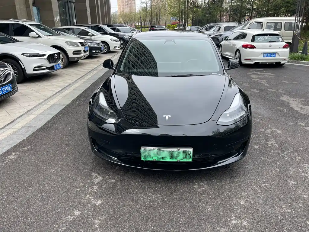 Tesla Model 3 2021