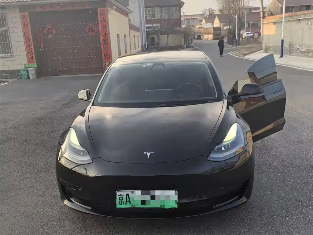 Tesla Model 3 2021
