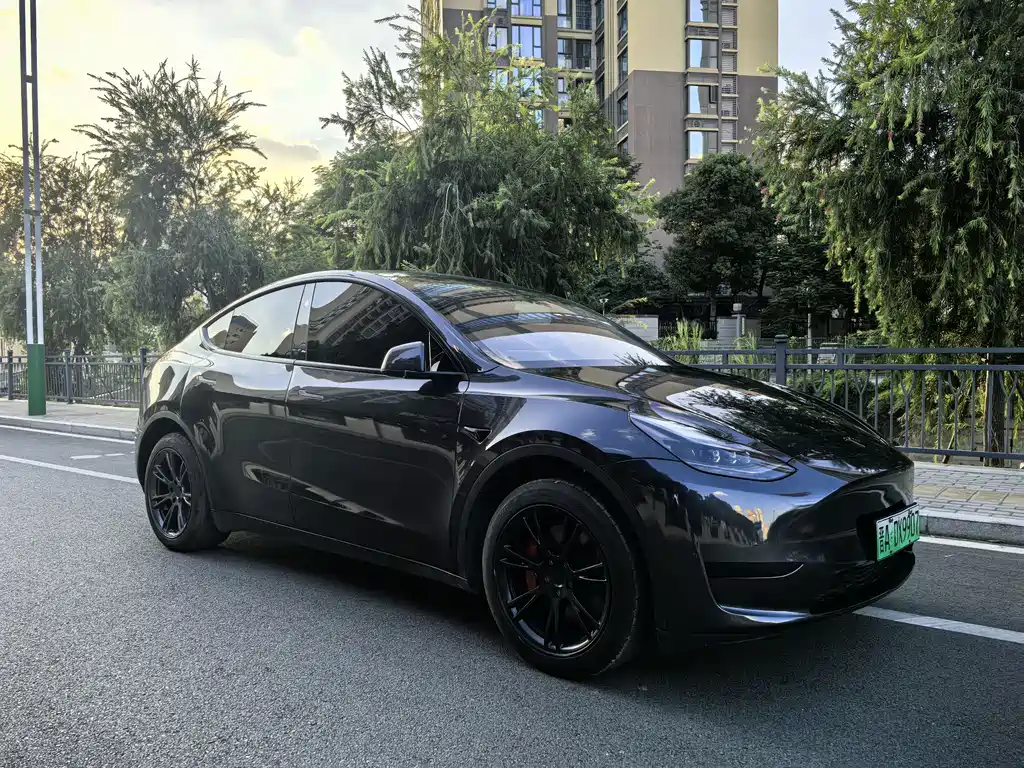 Tesla Model Y 2024