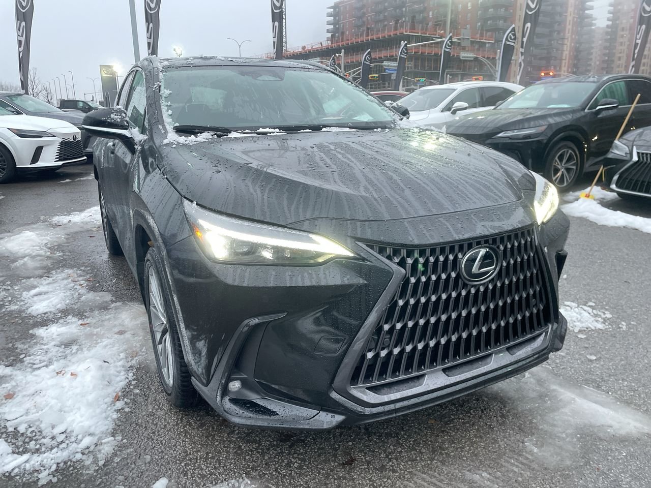 Lexus NX 2022