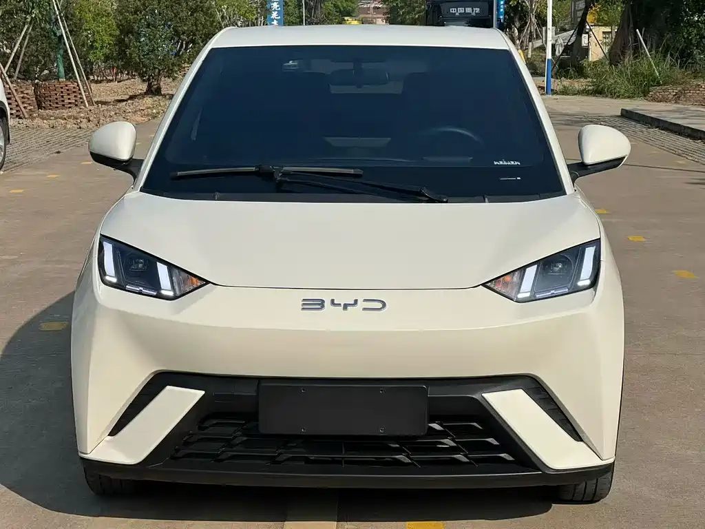BYD Seagull 2024