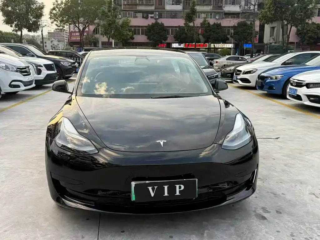 Tesla Model 3 2021