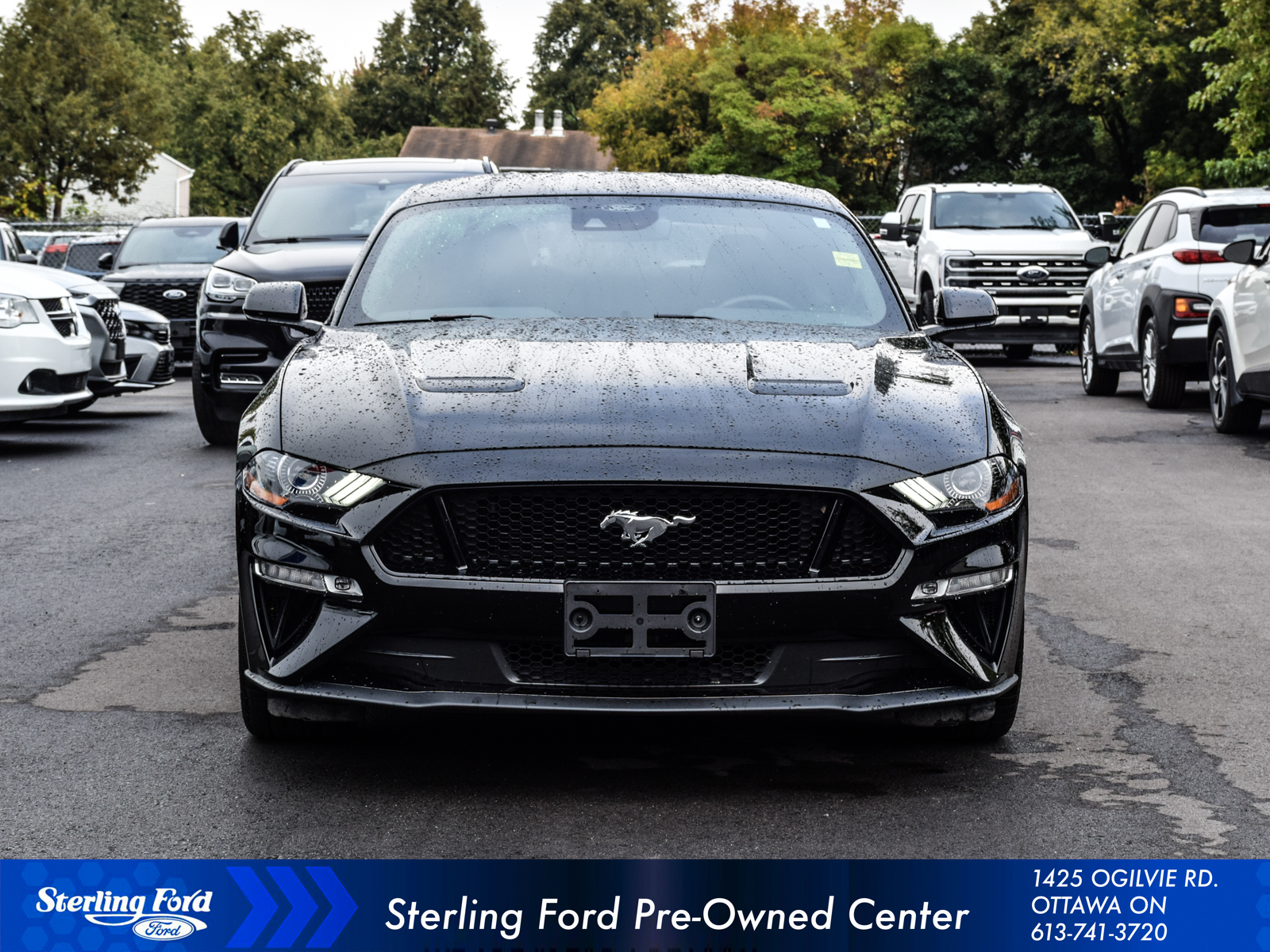 Ford Mustang 2023