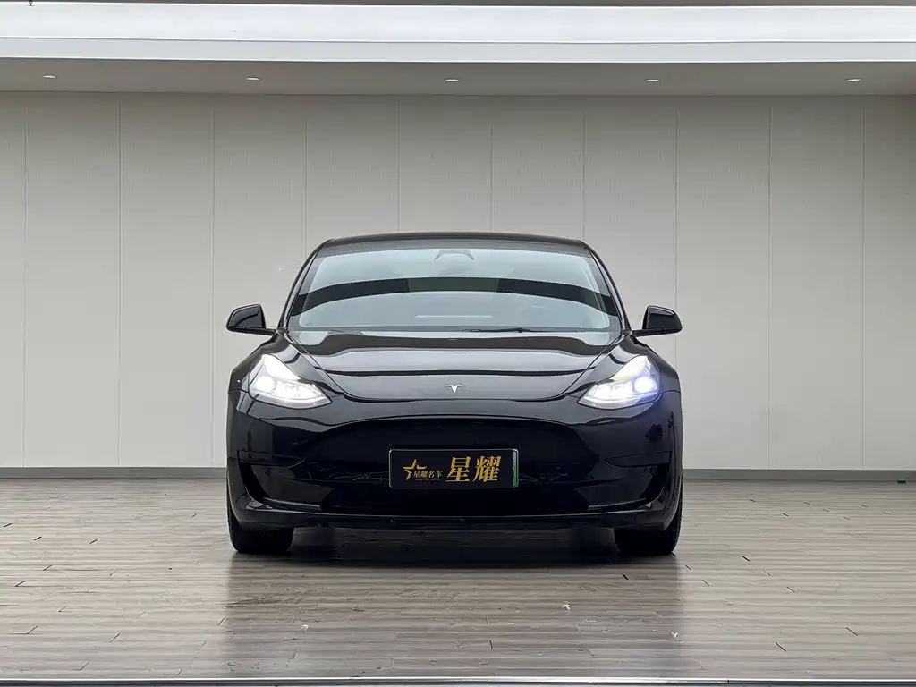Tesla Model 3 2021