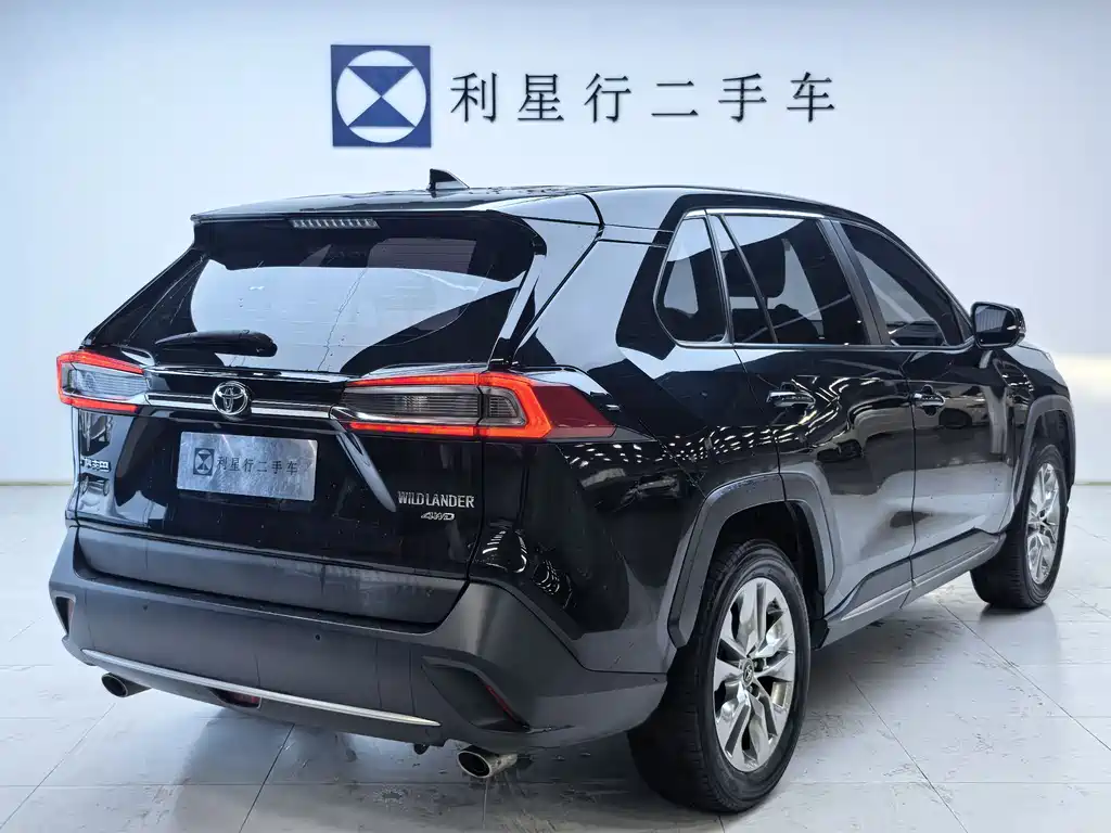 Toyota Wildlander 2021