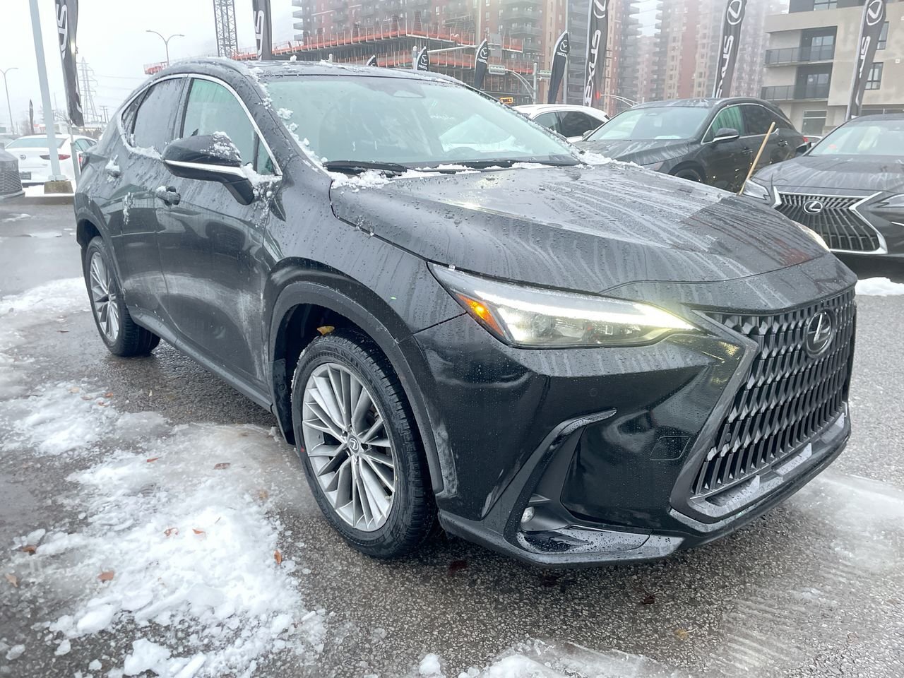 Lexus NX 2022
