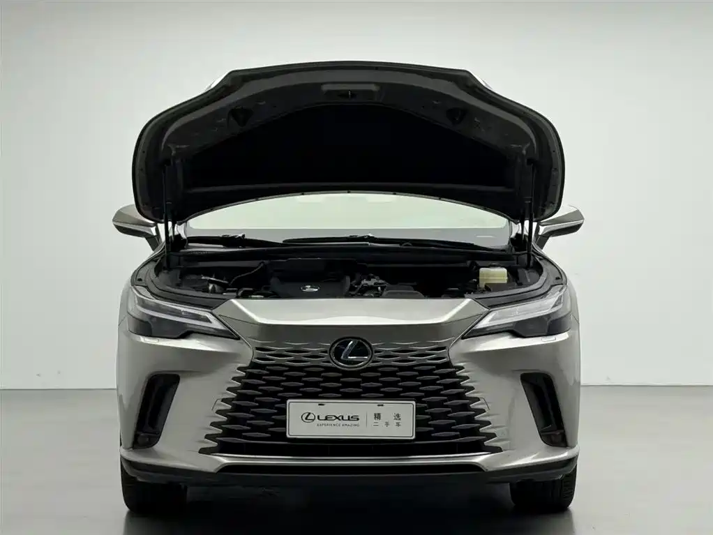 Lexus RX 2024