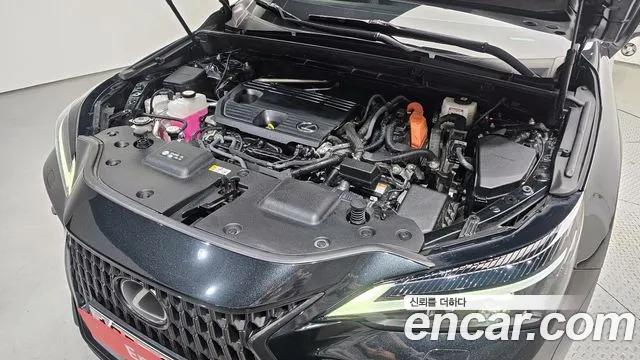 Lexus NX 2022