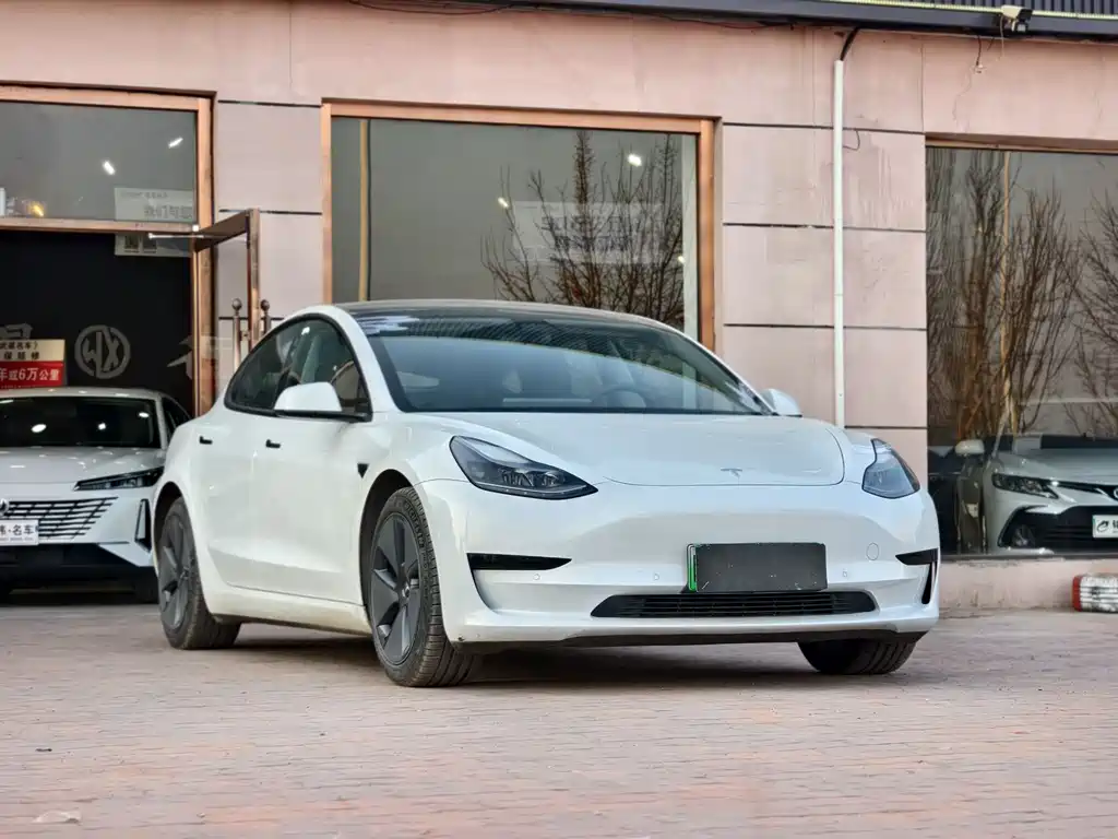 Tesla Model 3 2021