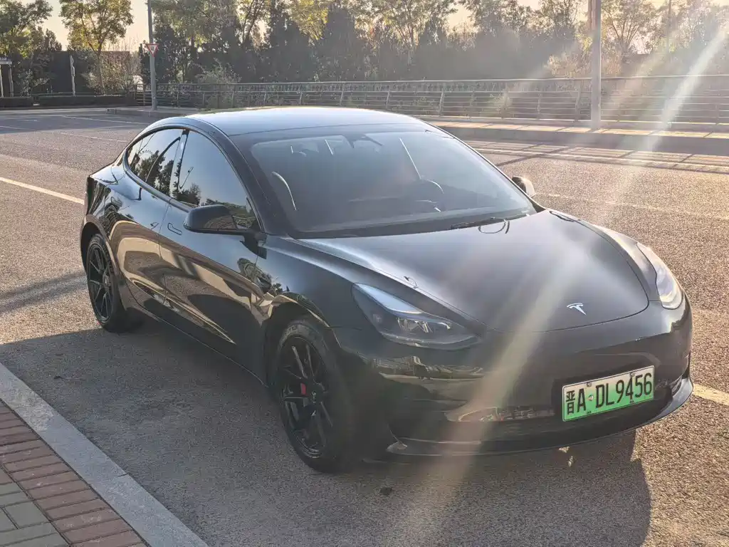 Tesla Model 3 2021