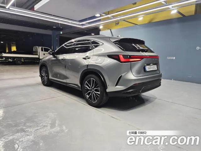Lexus NX 2024