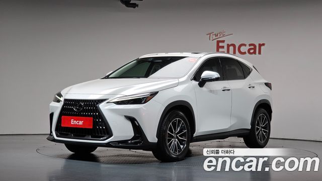 Lexus NX 2022