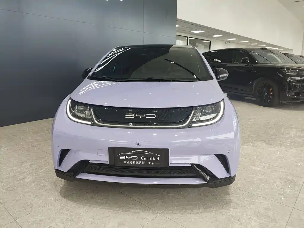 BYD Dolphin 2024