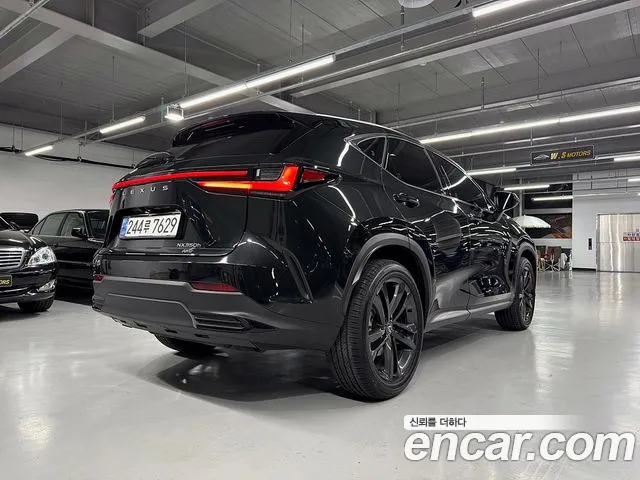 Lexus NX 2025
