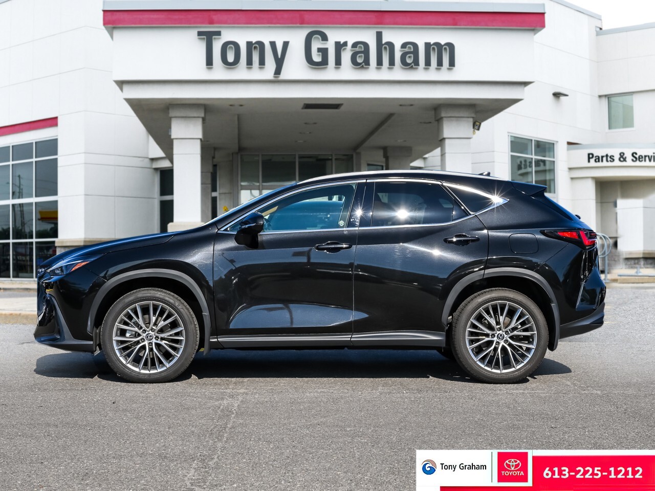 Lexus NX 2024