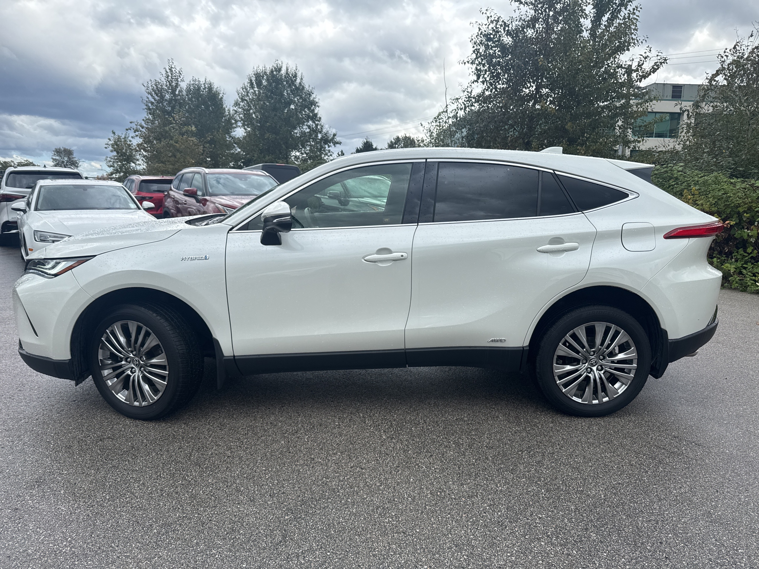 Toyota Venza 2021