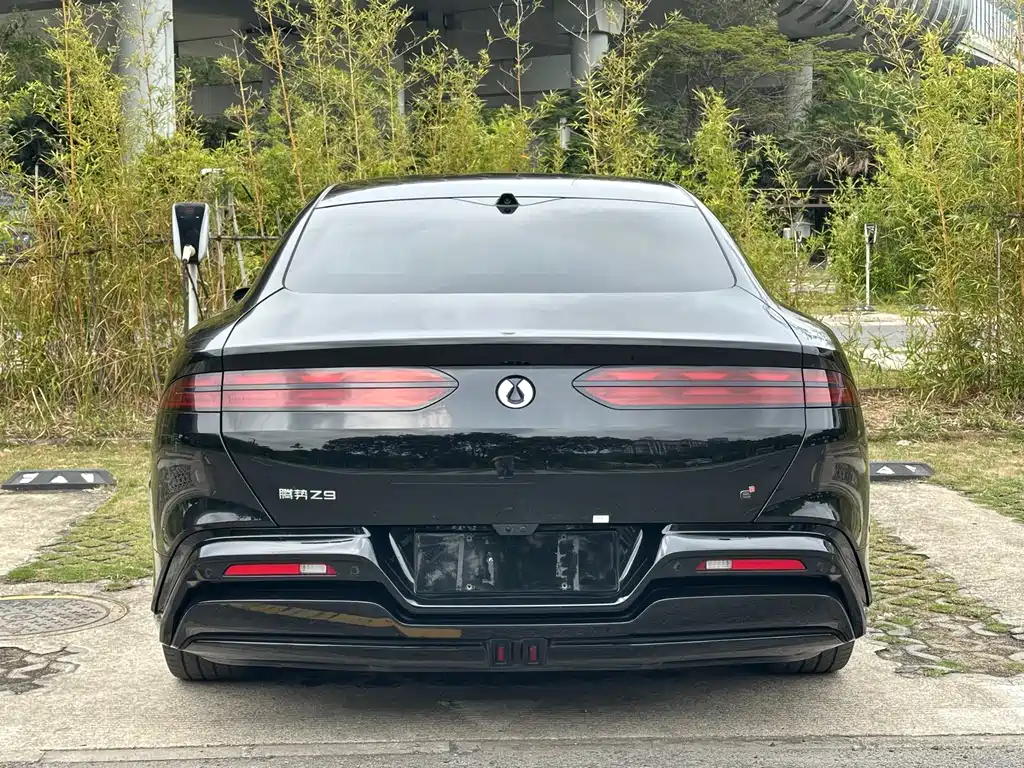Denza Z9 2024