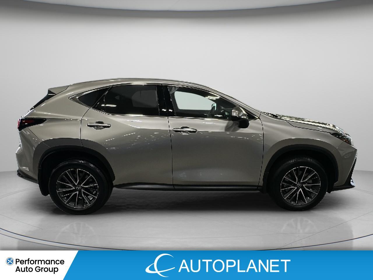Lexus NX 350 2025