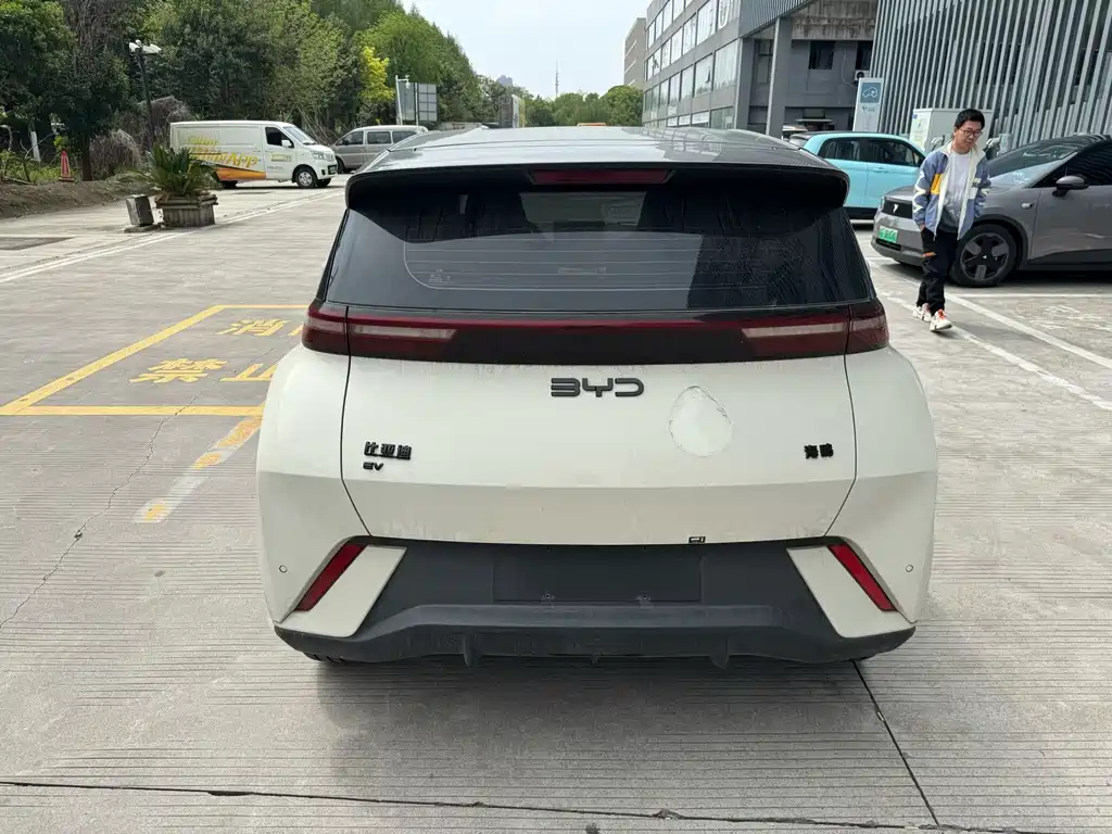 BYD Seagull 2024