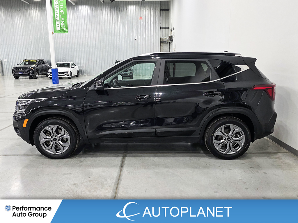 Kia Seltos 2024