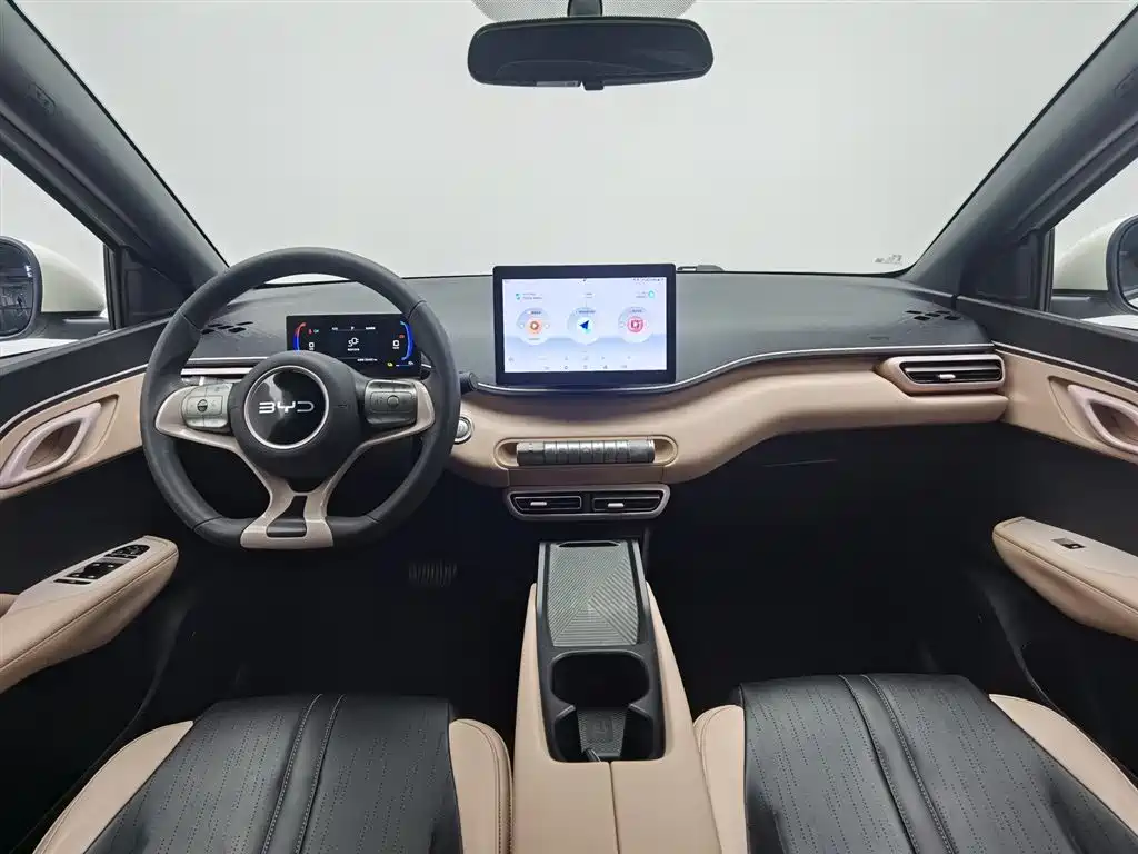 BYD Seagull 2024