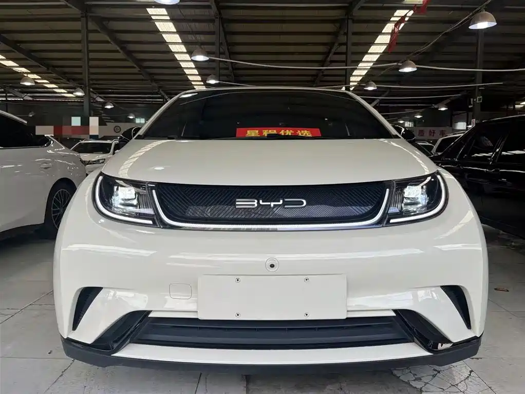 BYD Dolphin 2023
