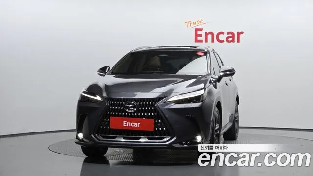 Lexus NX 2023