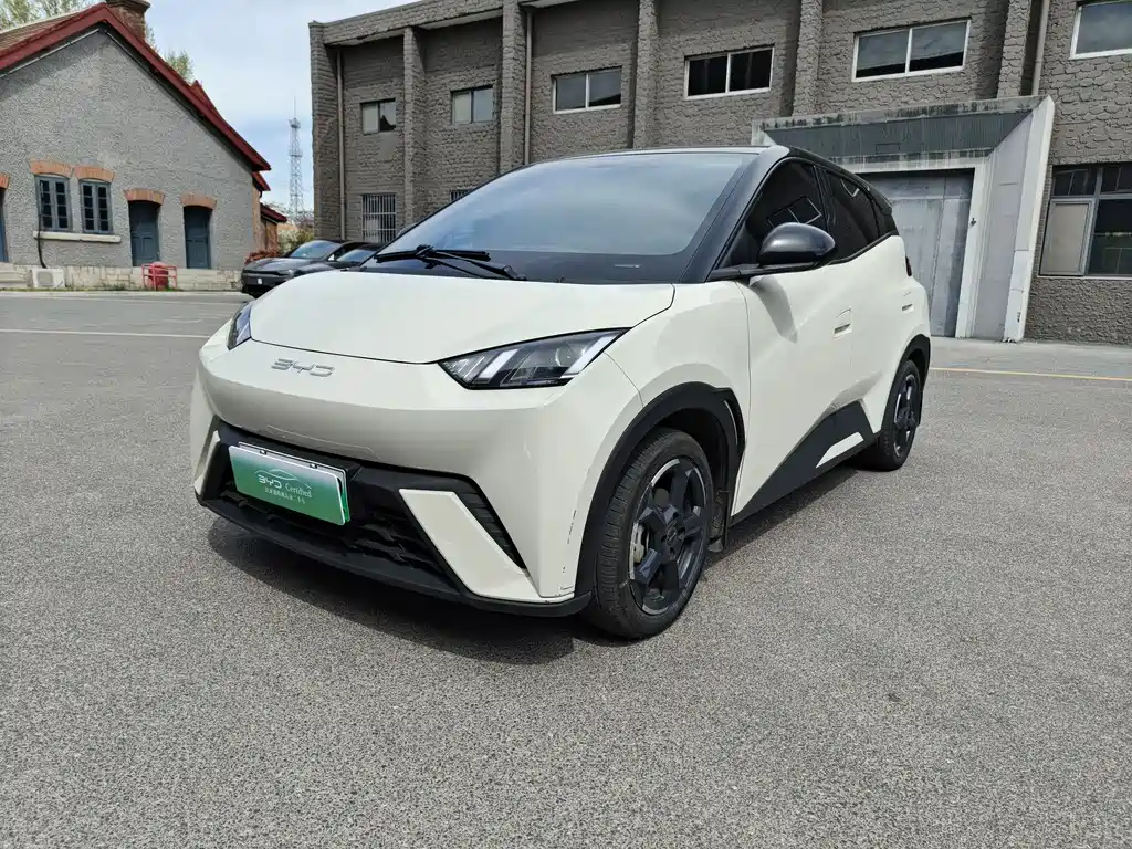 BYD Seagull 2024
