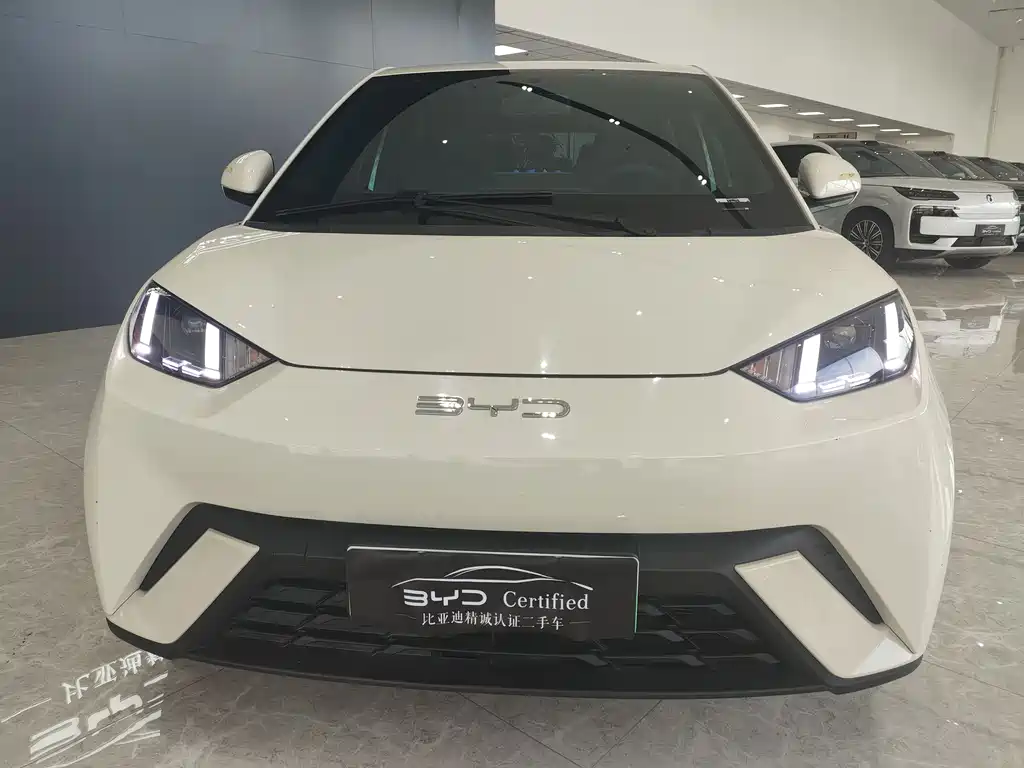 BYD Seagull 2024