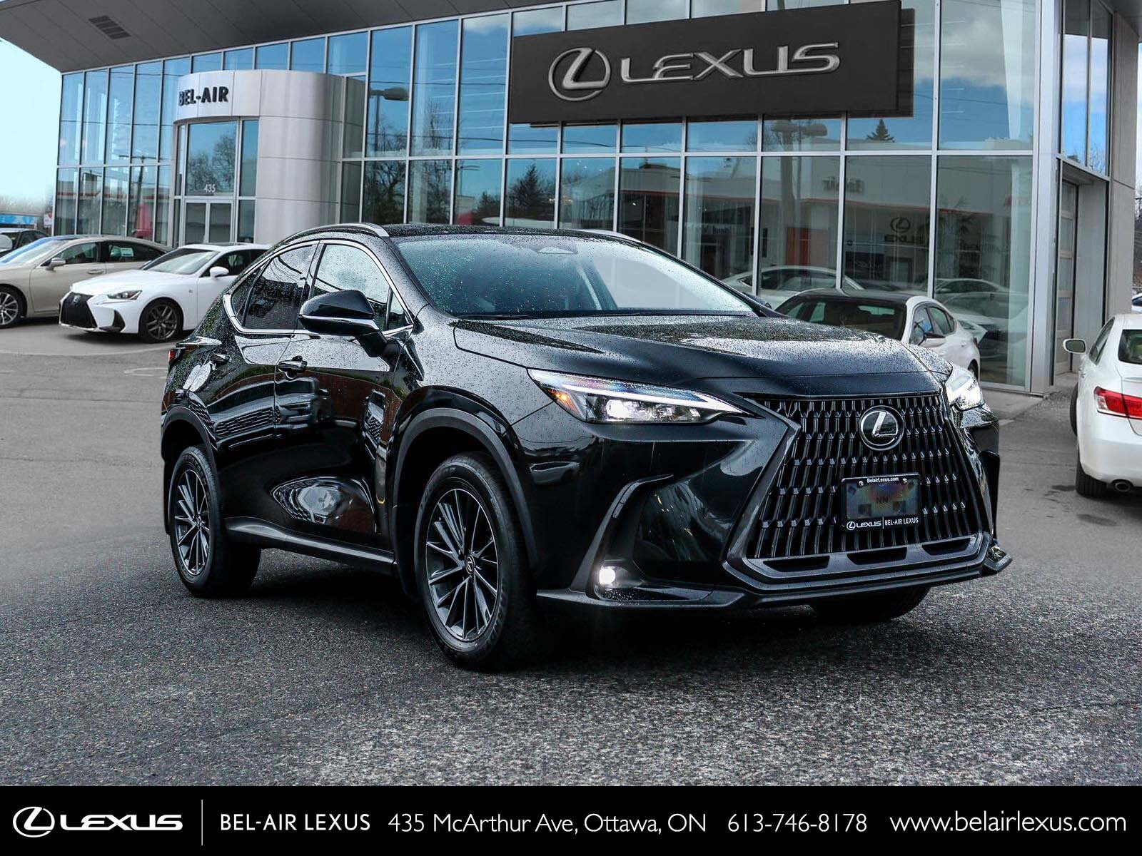 Lexus NX 2022