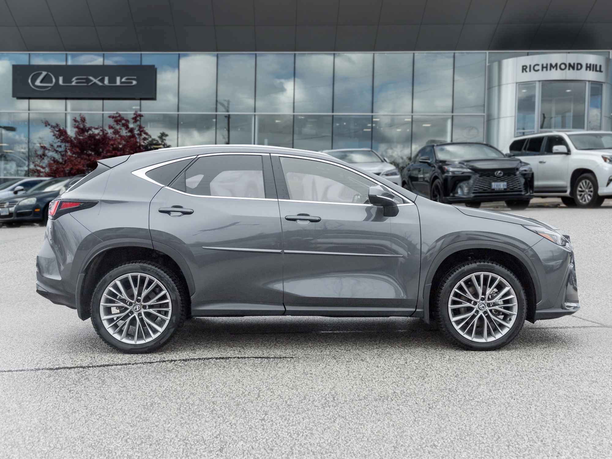 Lexus NX 350 2026