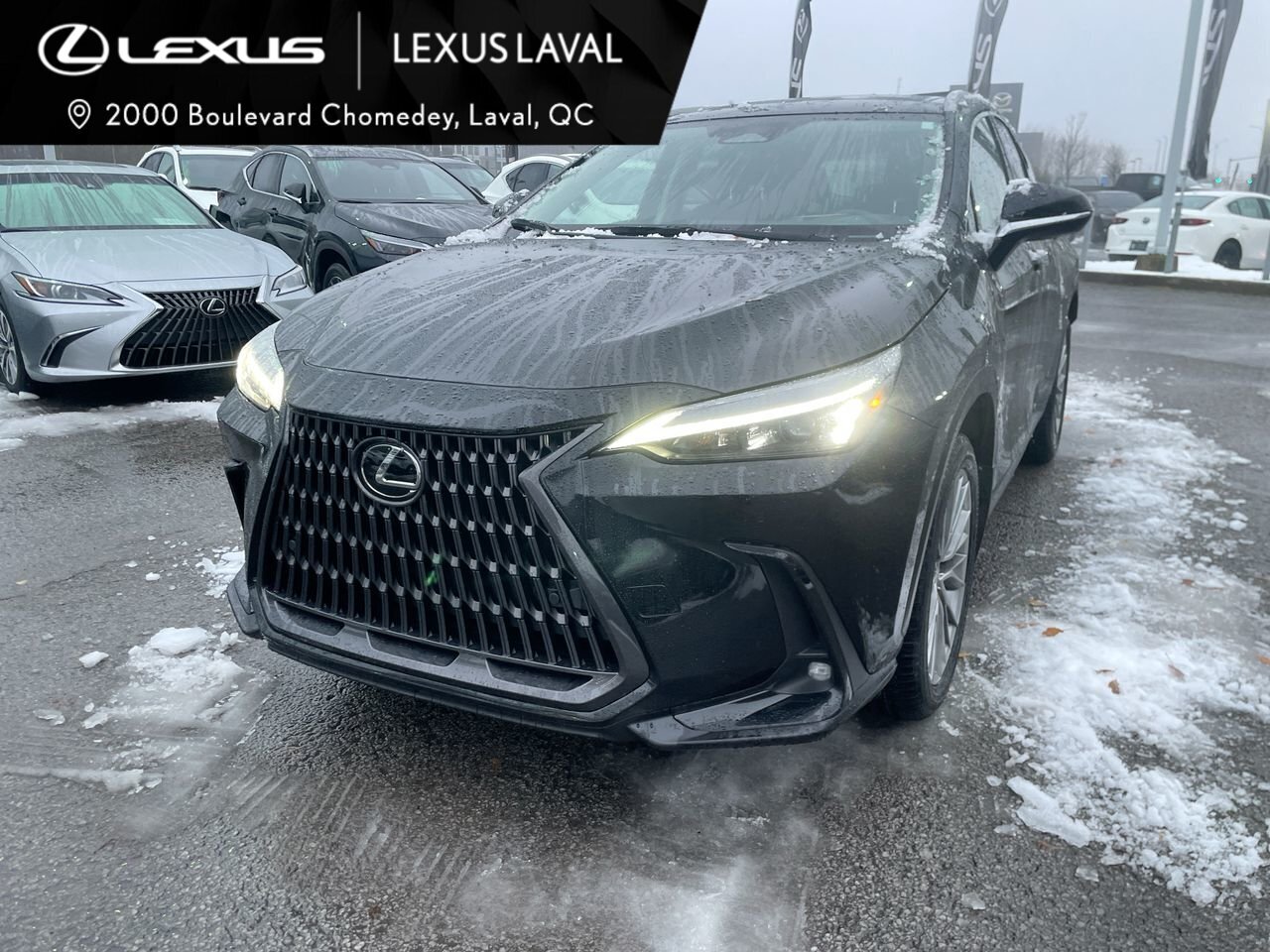 Lexus NX 2022