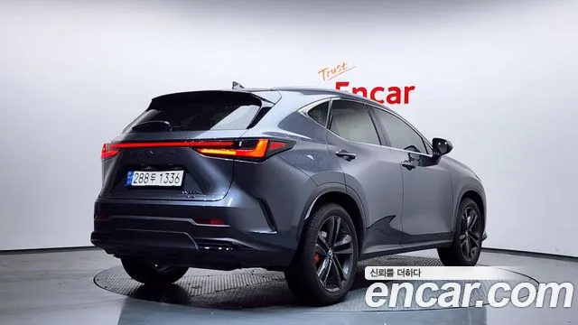 Lexus NX 2024