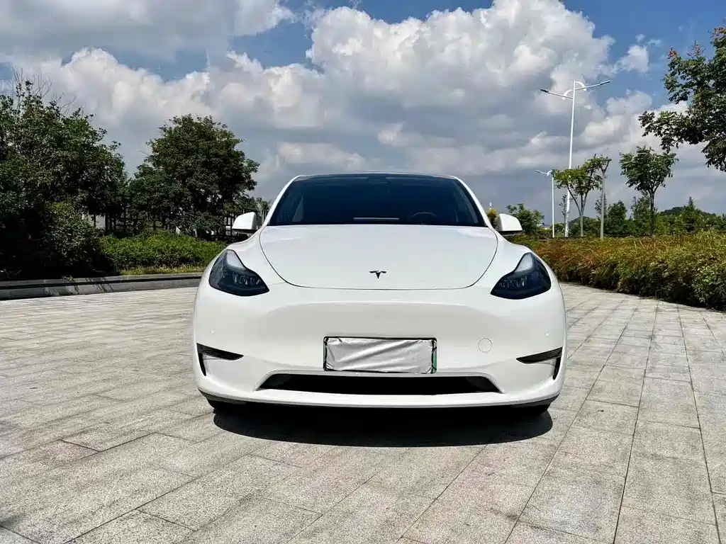 Tesla Model Y 2021