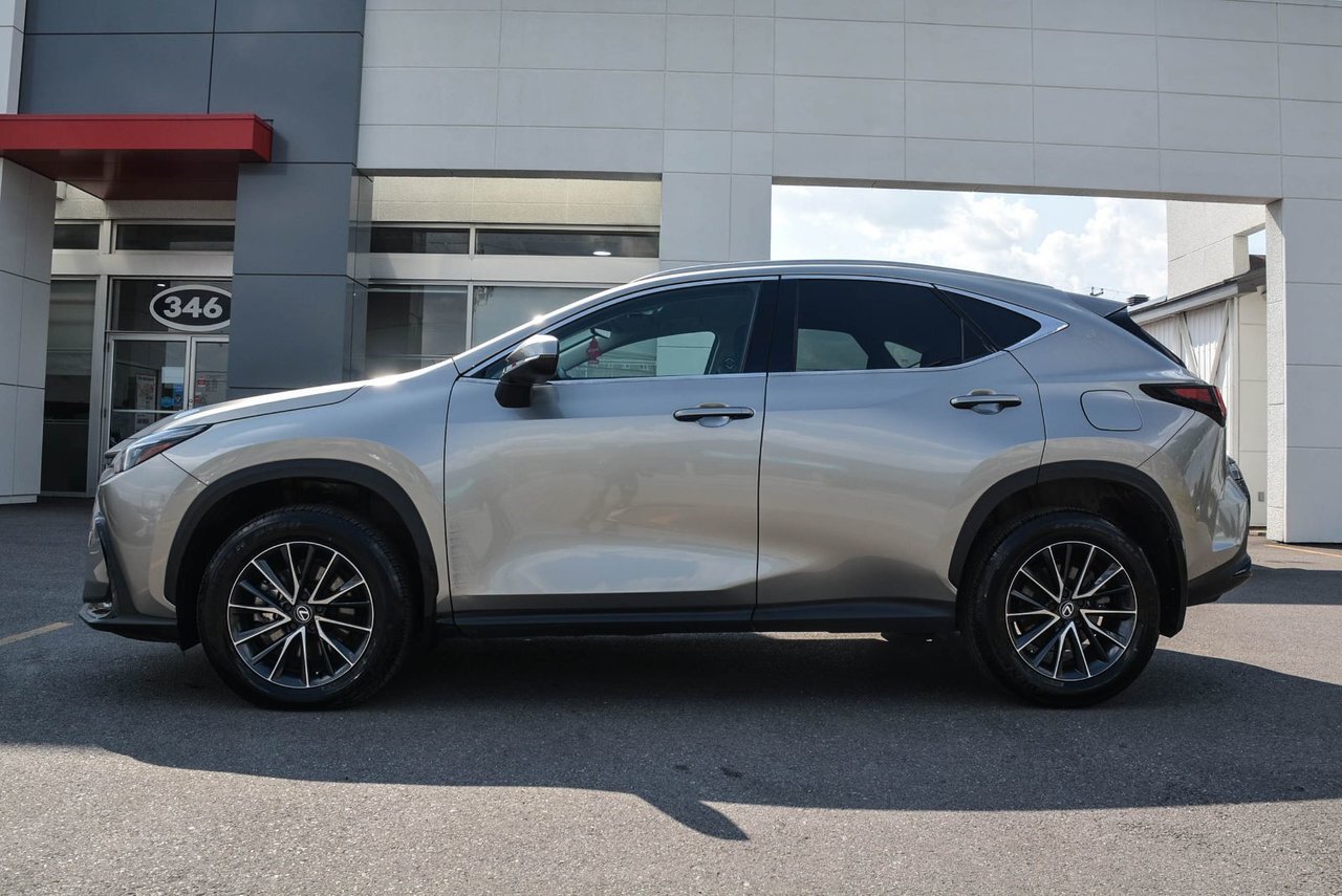 Lexus NX 2024