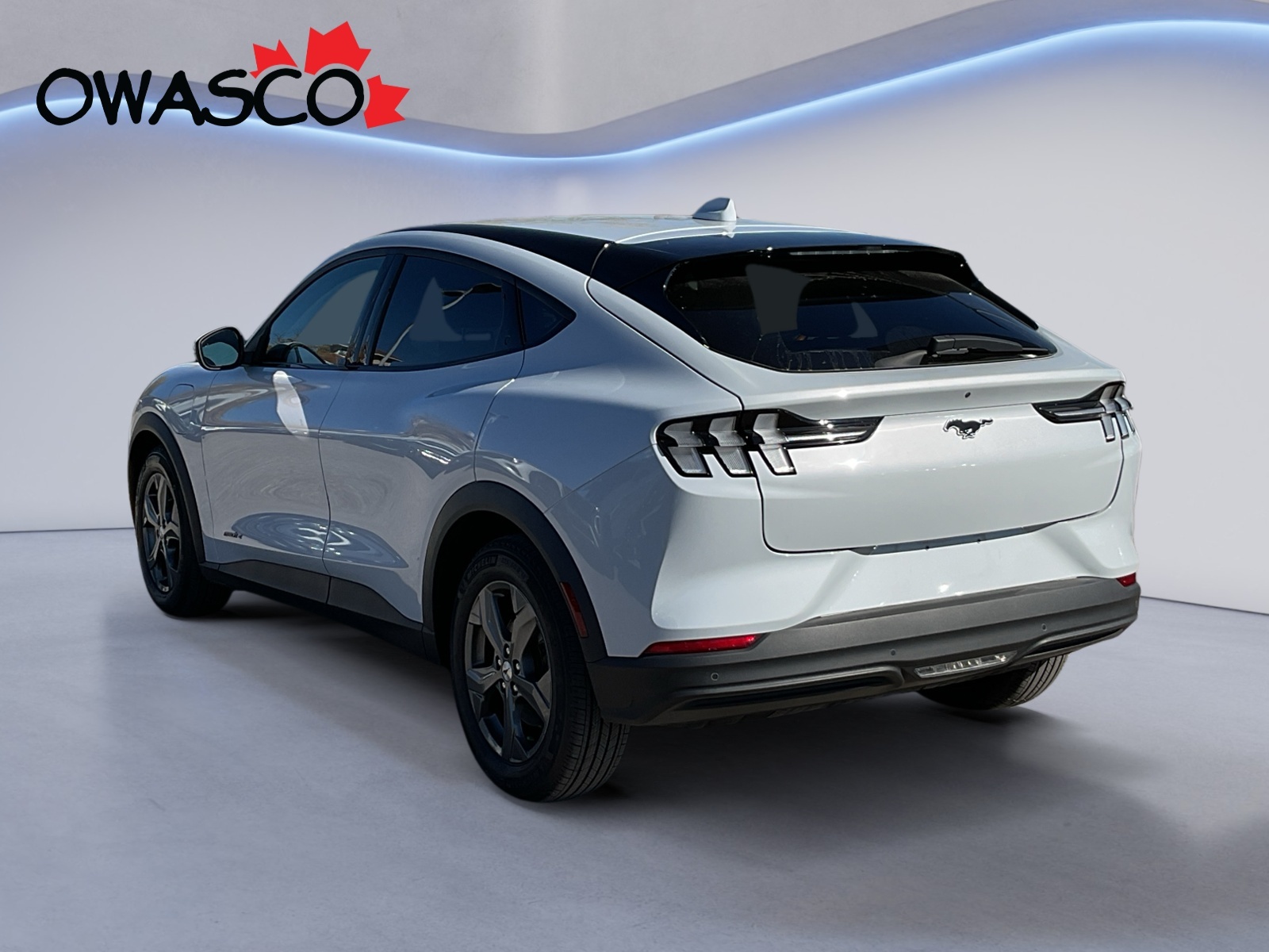 Ford Mustang Mach-E 2022