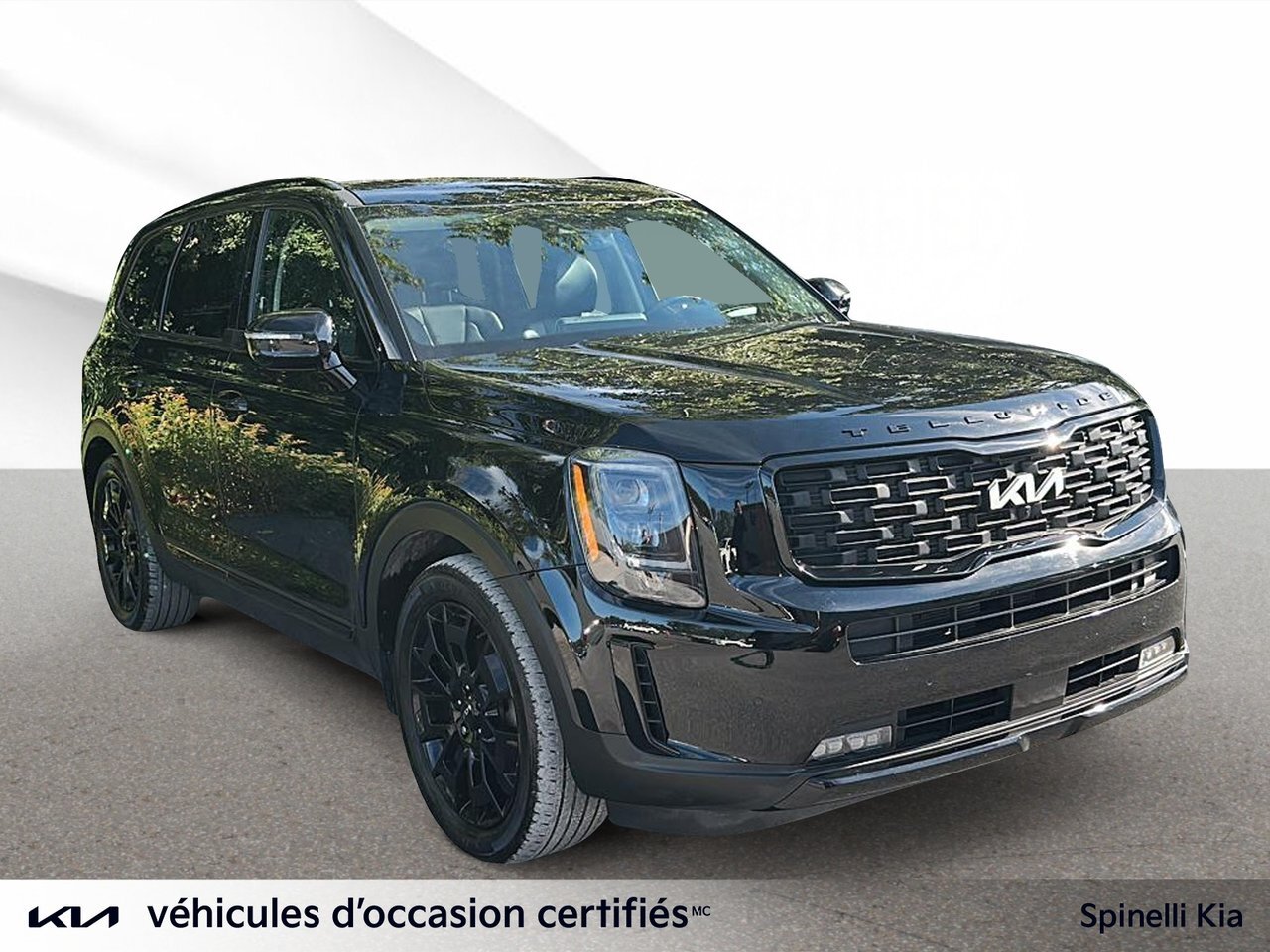 Kia Telluride 2022