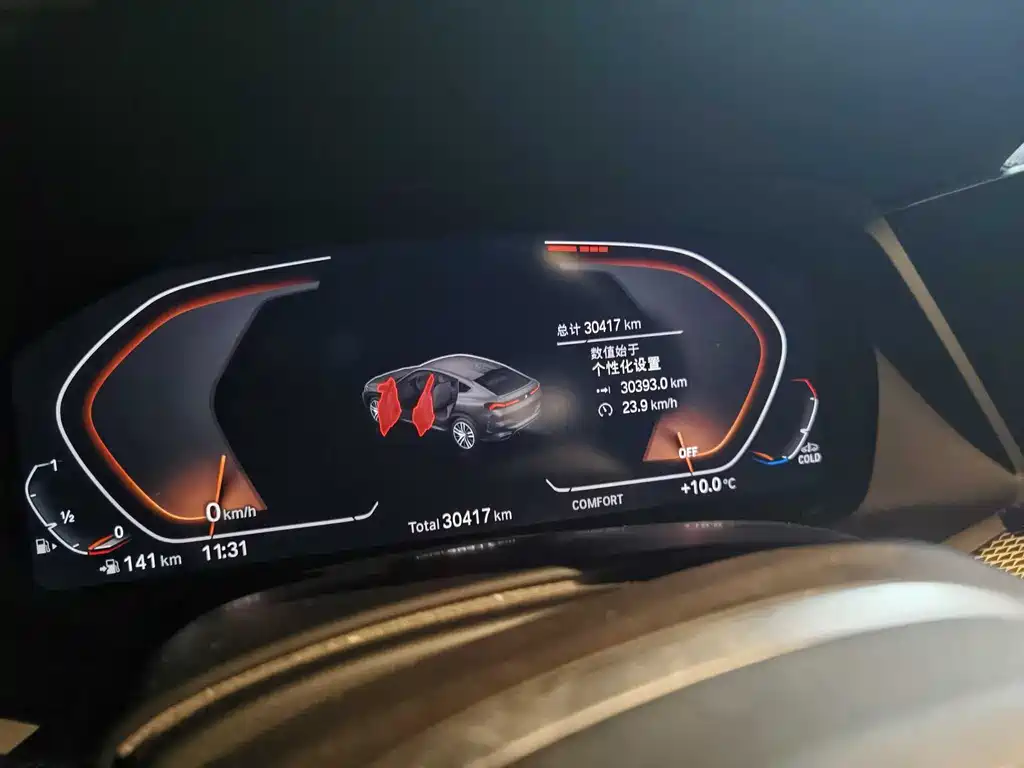 BMW X6 2021