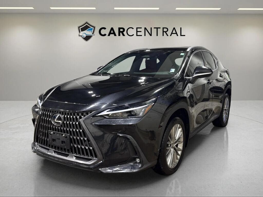Lexus NX 2024