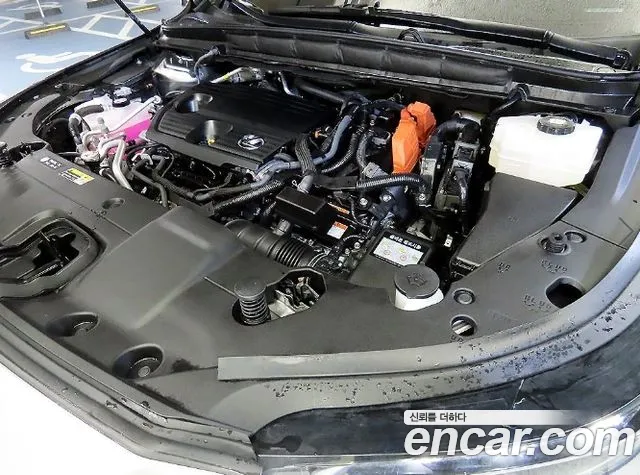 Lexus RX 2023