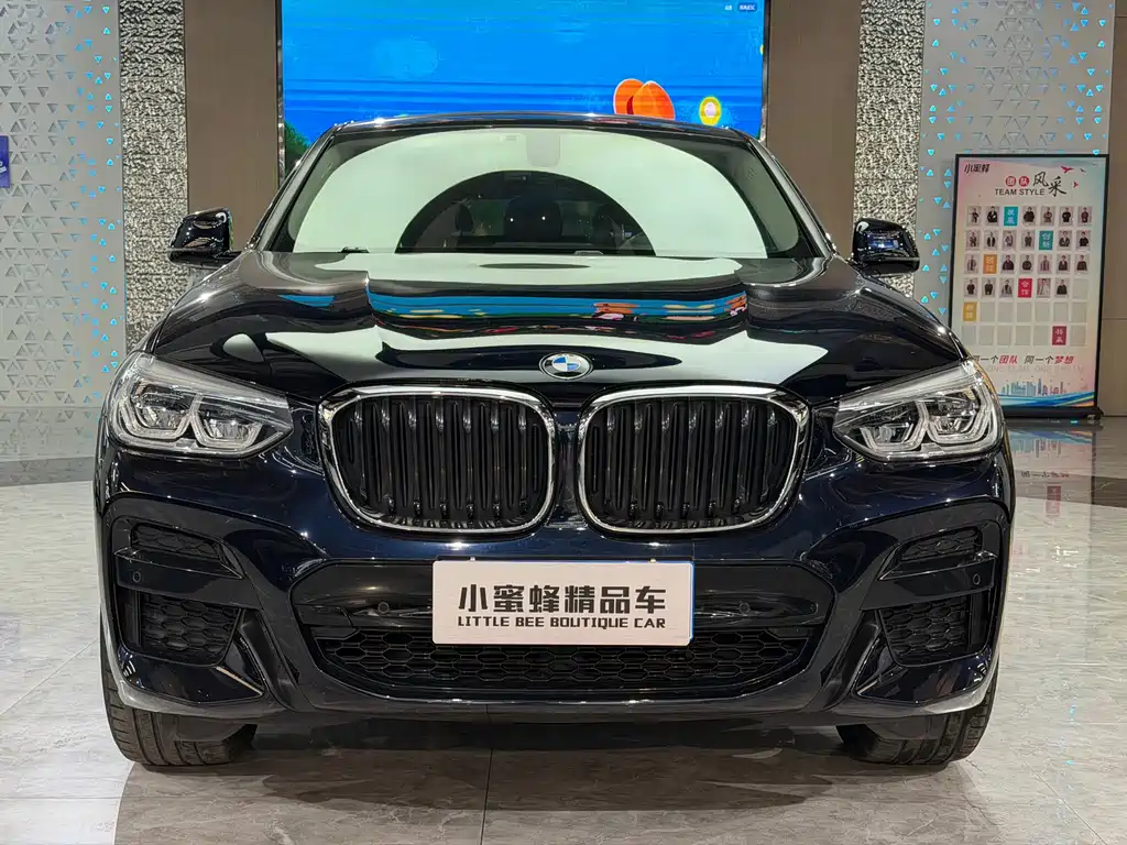 BMW X4 2021