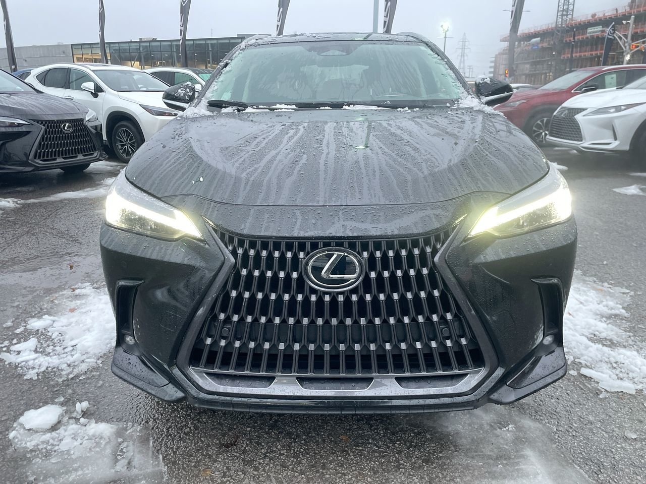 Lexus NX 2022