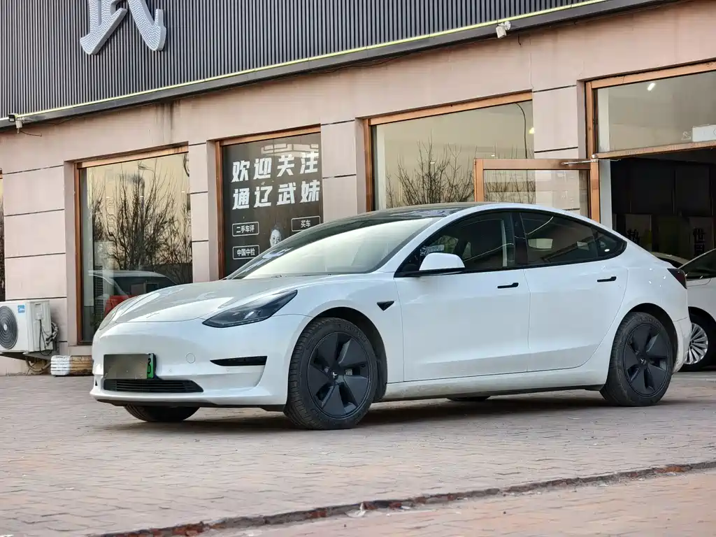 Tesla Model 3 2021